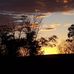 Darlene Sayler Reilly - Facebook