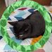 Darlene A. Rhoads - Facebook