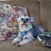 Dave Rhoads - Facebook