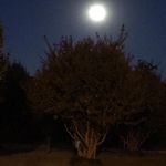 Rick-Darlene Ring - @ringrickdarlene - Instagram