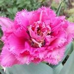 Darlene Robbins - @darlene.robbins.7 - Instagram
