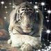 Darlene Robison - Facebook