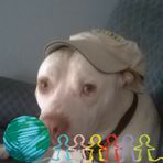 Darlene Rollison - Facebook