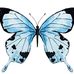 Darlene Roper - Facebook