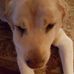 Darlene Roper - Facebook
