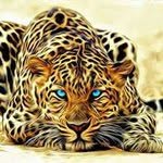 Darlene Ropp Stephens - @darzplace66 - Instagram