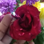 Darlene Roque Rafael - @darleneroquerafael - Instagram