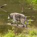 Darlene Rowe - Facebook