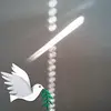 Darlene Rowe - @darlene.rowe - TikTok