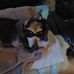 Darlene Sampson - Facebook