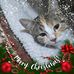 Darlene Saylor - Facebook