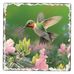 Darlene Saylor - Facebook