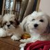 Darleen Schill - Facebook