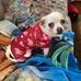 Darlene Schultz - Facebook