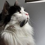 Darlene Schulz - @mrs_schulzy2011 - Instagram