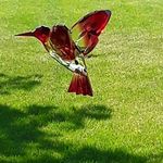 Darlene Krikland Shaffer - @darlene.k.shaffer - Instagram