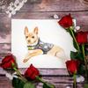 Darlene Shaffer897 - @1roseclover - TikTok