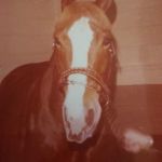 Darlene Shaffer - @darleneshaffer731 - Instagram