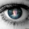 darleneshaffer67 - @darleneshaffer67 - TikTok