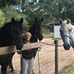Darlene Sharp - Facebook