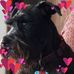 Darlene Sharp - Facebook