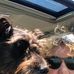 Darlene Sheldon - Facebook