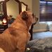 Darlene Shelley - Facebook