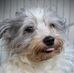 Darlene Shultz - Facebook