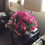 Darlene Simard - Facebook