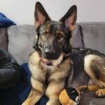Darlene Simms - @darlene_simms - Instagram