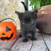 darlene.simonn1 - @darlene.simonn1 - TikTok