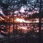 Darlene Simonson - @darlene.simonson.90 - Instagram
