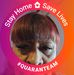 Darlene Singleton - Facebook