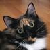 Darlene Sitz - Facebook