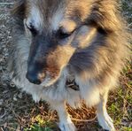Darlene Skaggs - Facebook