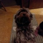 Mary Darlene Skaggs - @mary_darlene_skaggs - Instagram
