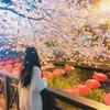 SmallDarlene - @smalldarlene - TikTok
