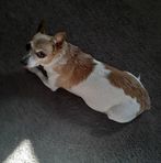 Darlene Snook - Facebook