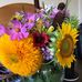 Darlene Snyder - Facebook