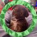 Darlene Snyder - Facebook