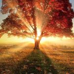 Darlene Snyder Magers - @nana4me2_ - Instagram