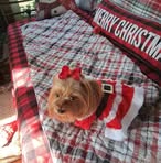 Darlene Hopper-Spaulding - Facebook