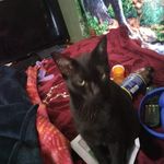 Darlene Spence - @darlenespence7 - Instagram
