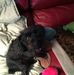 Darlene Sprader - Facebook