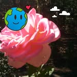 Darlene Srader - @terrysrader - Instagram