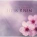 Darlene Stapp - Facebook