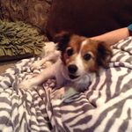 Darlene Stapp Hendrson - @stapphendrson - Instagram