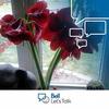 Darlene Steeves187 - @darlenesteeves0 - TikTok