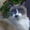 darlenesteiger7 - @darlenesteiger7 - TikTok