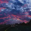 Darlene - @darlene.stein13 - TikTok
